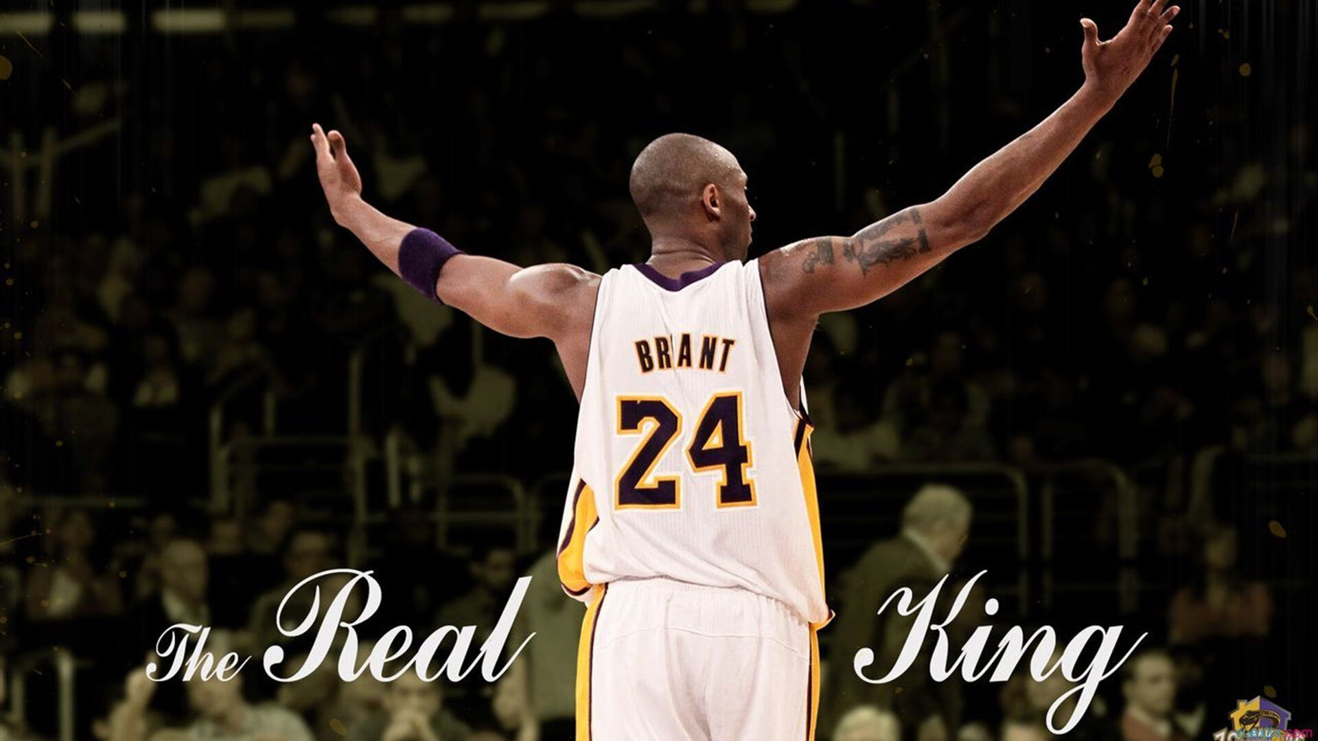 综合体育系“跨年综合联赛” 秋季赛程延续至来年